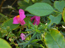 DSCN1157