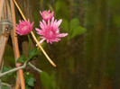 DSCN1166