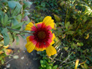 DSCN1174