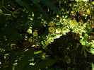 DSCN1180