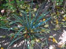 DSCN1184