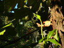 DSCN1193