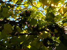 DSCN1197