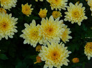 DSCN1198
