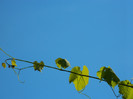 DSCN1199