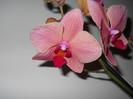 DSCN0050