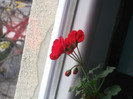 poze 048