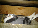 2012-11-03 22.07.20