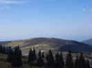 DSC02441