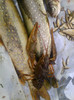 PESTE