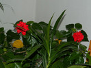 DSCN1207