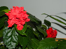 DSCN1210