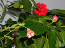DSCN1215