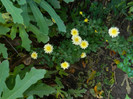 DSCN1245