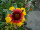 DSCN1250