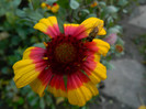 DSCN1253