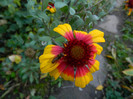 DSCN1263