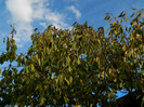 DSCN1266
