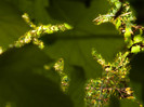 DSCN1268