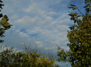 DSCN1273