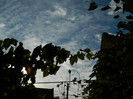 DSCN1274
