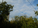 DSCN1275