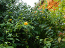 DSCN1279