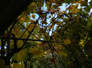 DSCN1283