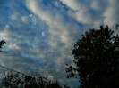 DSCN1285