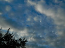 DSCN1286