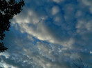 DSCN1289