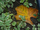 DSCN1291