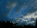 DSCN1294