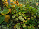 DSCN1299