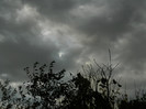 DSCN1311