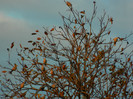 DSCN1325