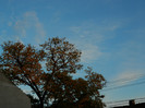 DSCN1336