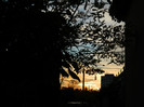 DSCN1341