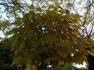 DSCN1342