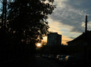 DSCN1347