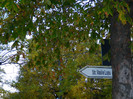 DSCN1351