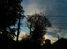 DSCN1353