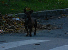 DSCN1357