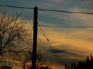 DSCN1358