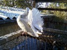 Photo0081