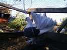 Photo0085