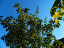 DSCN1409