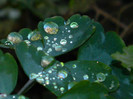 DSCN1417