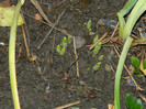 DSCN1448