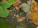 DSCN1456